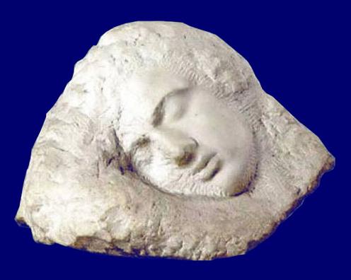 Brancusi Somnul Brancusi Somnul